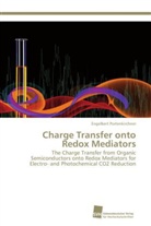 Engelbert Portenkirchner - Charge Transfer onto Redox Mediators