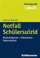 Heidrun Bründel, Norbert Grewe, Herber Scheithauer, Herbert Scheithauer, Wilfried Schubarth - Notfall Schülersuizid