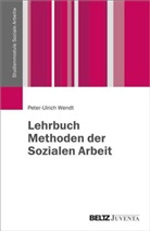Peter-Ulrich Wendt - Lehrbuch Methoden der Sozialen Arbeit