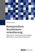Michael Noack - Kompendium Sozialraumorientierung