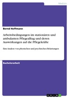 Bernd Hoffmann - Arbeitsbedingungen im stationären und ambulanten Pflegealltag und deren Auswirkungen auf die Pflegekräfte