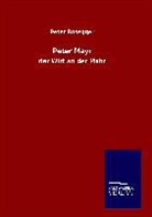 Peter Rosegger - Peter Mayr