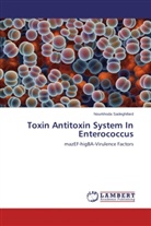 Nourkhoda Sadeghifard - Toxin Antitoxin System In Enterococcus