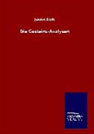 Justus Roth - Die Gesteins-Analysen