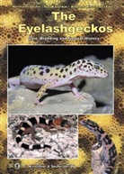 Jon Boone, Thomas Ernst, Tino Holfert, Yuri Kaverkin, Andreas Kirschner, Hermann Seufer... - The Eyelash Geckos