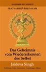 Jaideva Singh - Das Geheimnis vom Wiedererkennen des Selbst