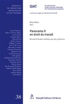 Rémy Wyler, Rémy Wyler - Panorama II en droit du travail
