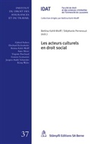 Bettina Kahil-Wolff, Bettina Kahil-Wolff, Stéphanie Perrenoud - Les acteurs culturels en droit social