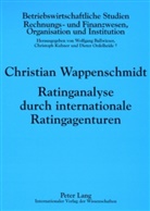 Christian Wappenschmidt - Ratinganalyse durch internationale Ratingagenturen