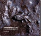 Thomas Imhof, Raimund Rodewald, Heini Stucki, Heini Stucki, Daniel Gaberell - Wasserskorpion und Riemenzunge