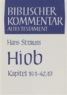 Friedrich Horst, Arndt Meinhold, Werner H. Schmidt, Winfried Thiel, Hans Walter Wolff, Werner H Schmidt u a... - Biblischer Kommentar Altes Testament - 16/1: Hiob 1-19. Tl.1