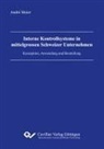 André Meier - Interne Kontrollsysteme in mittelgrossen Schweizer Unternehmen