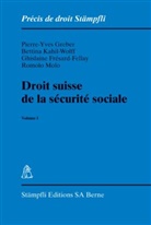 Ghislaine Frésard-Fellay, Pierre Y Greber, Bettina Kahil-Wolff, Romolo Molo - Droit suisse de la sécurité sociale. Vol.1