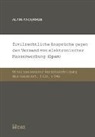 Alain Anderhub - Zivilrechtliche Ansprüche gegen den Versand von elektronischer Massenwerbung (Spam)