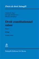 Andreas Auer, Mic Hottelier, Michel Hottelier, Giorgio Malinverni - Droit constitutionnel suisse. Vol.1