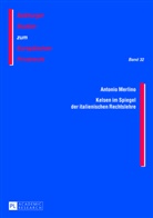 Antonio Merlino - Kelsen im Spiegel der italienischen Rechtslehre