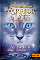 Erin Hunter, Friederike Levin - Warrior Cats - Die neue Prophezeiung. Mondschein