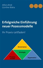 Günther Blaha, Alfon Bridi, Alfons Bridi - Erfolgreiche Einführung neuer Pozessmodelle