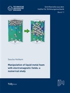 Sascha Heitkam - Manipulation of liquid metal foam with electromagnetic fields: a numerical study