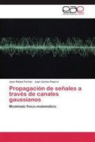 Jose Rafae Fermin, Jose Rafael Fermin, Juan Carlos Pizarro - Propagación de señales a través de canales gaussianos