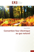 Anouar Kerkeni, Kerkeni-a - Convertion four electrique au gaz