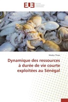 Modou Thiaw, Thiaw-m - Dynamique des ressources a duree