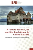 Noémie Arnold-Maillefer, Arnold-maillefer-n - A l ombre des murs, les graffitis