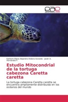 HERNÁND, Javier A. Hernández-F., Katherin Eliana Alejandr Otálora Acevedo, Katherin Eliana Alejandra Otálora Acevedo - Estudio Mitocondrial de la tortuga cabezona Caretta caretta
