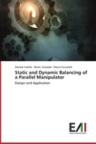 Mari Acevedo, Mario Acevedo, Daniel Cafolla, Daniele Cafolla, Marco Ceccarelli - Static and Dynamic Balancing of a Parallel Manipulator