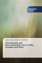 Carlos Antonio Martín Soria Dall'Orso - Civil Society and Environmental Law in Chile, Ecuador and Peru
