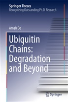 Arnab De - Ubiquitin Chains: Degradation and Beyond