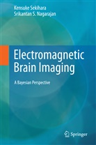 Srikantan Nagarajan, Srikantan S Nagarajan, Srikantan S. Nagarajan, Srikatan S. Nagarajan, Kensuk Sekihara, Kensuke Sekihara - Electromagnetic Brain Imaging