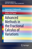 Agnieszka Malinowska, Agnieszka B Malinowska, Agnieszka B. Malinowska, Tatian Odzijewicz, Tatiana Odzijewicz, Torres... - Advanced Methods in the Fractional Calculus of Variations