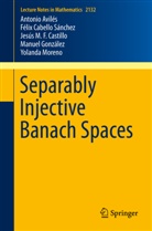 Antonio Aviles, Antoni Avilés, Antonio Avilés, Felix Cabello, Féli Cabello Sánchez, Félix Cabello Sánchez... - Separably Injective Banach Spaces