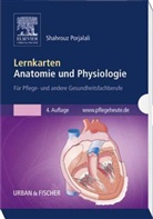 Shahrouz Porjalali - Lernkarten Anatomie und Physiologie