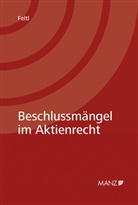 Christian Feltl - Beschlussmängel im Aktienrecht (f. Österreich)