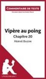 Audrey Millot, Lepetitlitteraire, lePetitLittéraire, lePetitLittéraire fr, lePetitLittéraire. fr, Audre Millot... - Vipère au poing d'Hervé Bazin - Chapitre 20