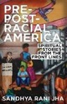 Sandhya Rani Jha, Sandyha Jha, Sandhya Rani Jha - Pre-Post-Racial America