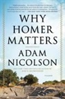 Adam Nicolson - Why Homer Matters