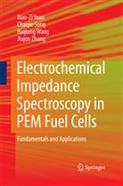 Chaoji Song, Chaojie Song, Haijiang Wang, Xiao-Zi Yuan, Xiao-Zi (Riny Yuan, Xiao-Zi (Riny) Yuan... - Electrochemical Impedance Spectroscopy in PEM Fuel Cells