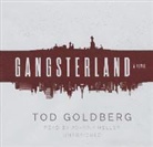 Tod Goldberg, Johnny Heller - Gangsterland (Audio book)