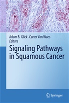 Ada B Glick, Adam B Glick, Adam B. Glick, Van Waes, Van Waes, Carter Van Waes... - Signaling Pathways in Squamous Cancer