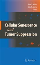 Peter D. Adams, Pete D Adams, Peter D Adams, M Sedivy, M Sedivy, John M. Sedivy - Cellular Senescence and Tumor Suppression