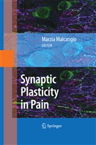 Marzi Malcangio, Marzia Malcangio - Synaptic Plasticity in Pain