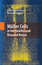 Andreas Bringmann, Andrea Reichenbach, Andreas Reichenbach - Müller Cells in the Healthy and Diseased Retina