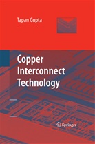 Tapan Gupta - Copper Interconnect Technology