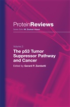 Gerar P Zambetti, Gerard P Zambetti, Gerard P. Zambetti - The p53 Tumor Suppressor Pathway and Cancer