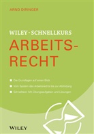 Arnd Diringer - Wiley-Schnellkurs Arbeitsrecht