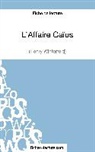 fichesdelecture com, fichesdelecture. com, Vaness Grosjean, Vanessa Grosjean - L'Affaire Caïus d'Henry Winterfeld (Fiche de lecture)
