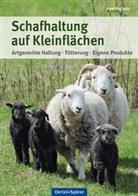 Axel Gutjahr - Schafhaltung auf Kleinflächen